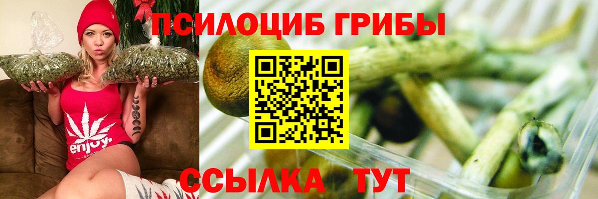 Донской  Псилоцибиновые грибы MAGIC MUSHROOMS  Галлюциногенные грибы Magic Shrooms  Вход с VPN 